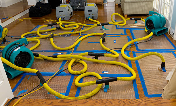 Professional Water Damage Restoration technician working in Bucyrus, OH